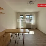 Rent 1 bedroom apartment of 29 m² in Zlín