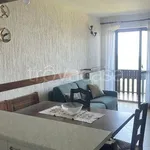 Rent 2 bedroom apartment of 41 m² in Castione della Presolana