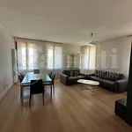 Rent 5 bedroom apartment of 130 m² in Vicenza