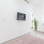 Rent 1 bedroom apartment in lisbon