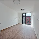 Rent 2 bedroom apartment of 49 m² in Děčín