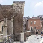 Rent 1 bedroom apartment in rome