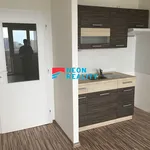 Pronájem bytu 1+kk 31m²