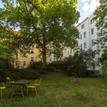 Rent 3 bedroom apartment in Praha 3