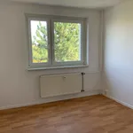 Miete 3 Schlafzimmer wohnung von 57 m² in Leipzig