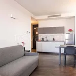 Rent 2 bedroom apartment of 50 m² in Venezia