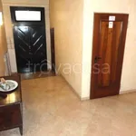 Rent 3 bedroom apartment of 110 m² in Padova