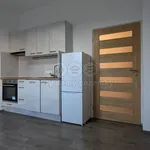 Rent 1 bedroom apartment of 29 m² in Hodkovice nad Mohelkou