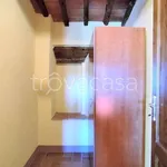 Rent 3 bedroom apartment of 75 m² in Capannori