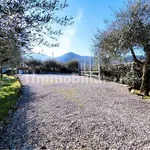 3-room flat via di Ronchi, Colle di Compito - Castelvecchio, Capannori