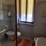 Rent 1 bedroom apartment of 40 m² in Piacenza