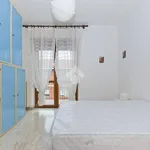 Rent 3 bedroom apartment of 80 m² in Bra