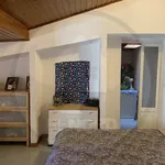 Rent 3 bedroom apartment of 100 m² in Pavia