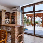 Rent 5 bedroom house of 516 m² in Erdut