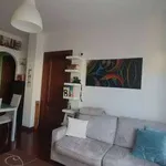 Rent 2 bedroom apartment of 50 m² in Viterbo