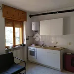 2-room flat Strada brusiera 29, Cernesio, Ceres