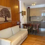 Rent 1 bedroom apartment of 42 m² in Bardonecchia