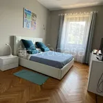 Rent 3 bedroom apartment of 75 m² in Torino