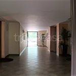 Rent 1 bedroom apartment of 55 m² in Segrate