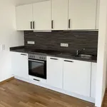 Rent 2 bedroom apartment of 54 m² in Dresden