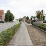 Rent 3 bedroom house of 816 m² in Waregem