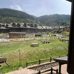 Rent 2 bedroom apartment of 56 m² in Ponte di Legno