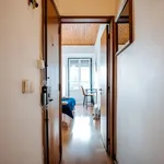 Rent 1 bedroom apartment in Lisbon