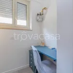 Rent 3 bedroom apartment of 80 m² in Torino