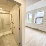  appartement avec 1 chambre(s) en location à Montreal