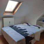 Rent 1 bedroom apartment in Antwerp