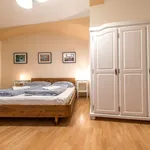 Rent 1 bedroom apartment of 35 m² in Capital City of Prague