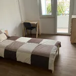 Rent 5 bedroom apartment in Lisbon