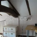 Rent 1 bedroom apartment of 35 m² in Bologna