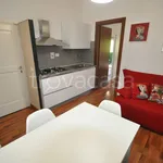 Rent 2 bedroom apartment of 41 m² in La Spezia