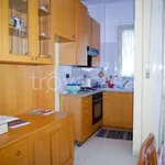 Rent 2 bedroom apartment of 56 m² in Torino