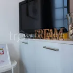 Rent 1 bedroom apartment of 28 m² in Torino