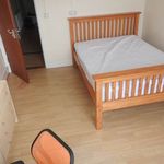 Rent 6 bedroom flat in Wales