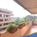 Rent 3 bedroom apartment of 90 m² in Roma