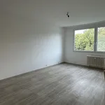 Rent 2 bedroom apartment in Děčín