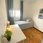 Rent a room in Madrid