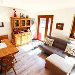 Rent 2 bedroom apartment of 50 m² in Folgaria