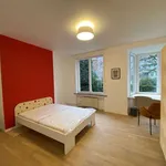 Kamer in brussels