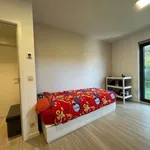 Rent 2 bedroom apartment in Liège