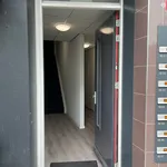 Huur 3 slaapkamer appartement van 160 m² in Goes-Centrum