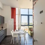 Rent 2 bedroom apartment of 50 m² in Venezia