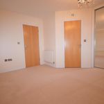 Rent 1 bedroom flat in New Forest