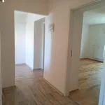 Pronajměte si 2 ložnic/e byt o rozloze 60 m² v České Budějovice