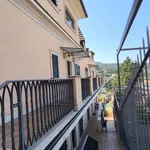 Affitto 2 camera appartamento di 50 m² in Monte Porzio Catone