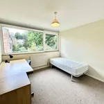 Rent 1 bedroom house in Winchester