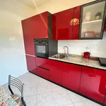 Rent 4 bedroom apartment of 111 m² in Roma